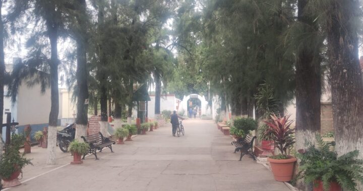 WhatsApp Image 2025-05-13 at 10.48.30