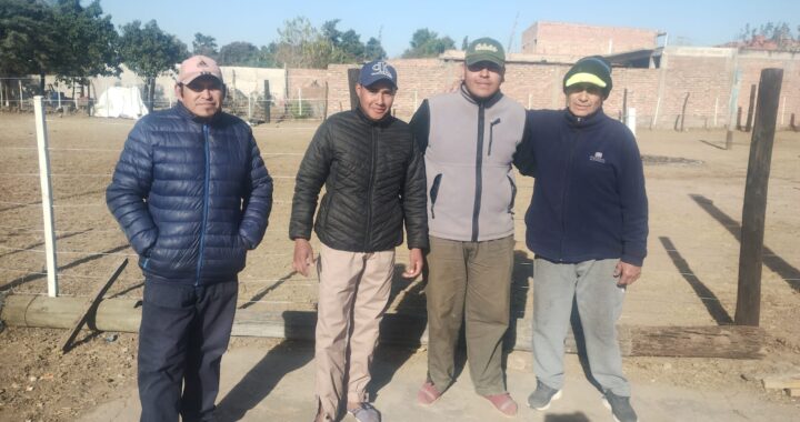 WhatsApp Image 2025-06-26 at 10.28.29
