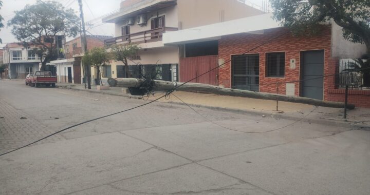WhatsApp Image 2025-07-24 at 10.17.38