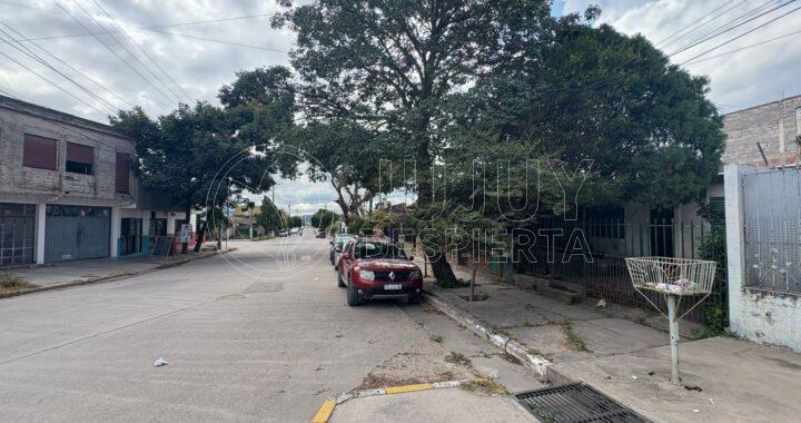 WhatsApp Image 2026-04-20 at 11.07.36